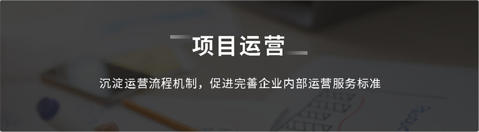 项目运营服务